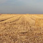 El Pajar De Cigunuela *