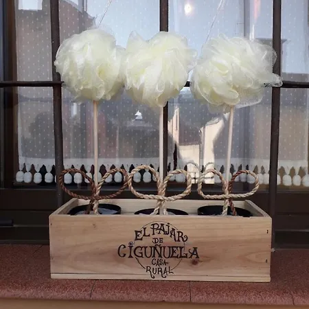 Ferienhaus El Pajar De Cigunuela Valladolid