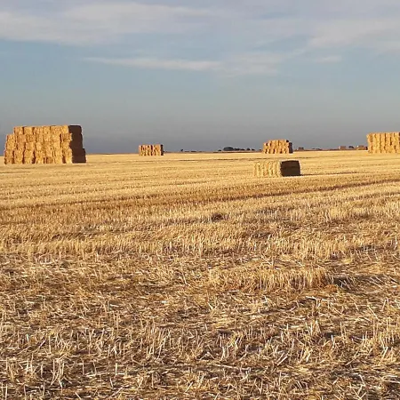 El Pajar De Cigunuela Ferienhaus *