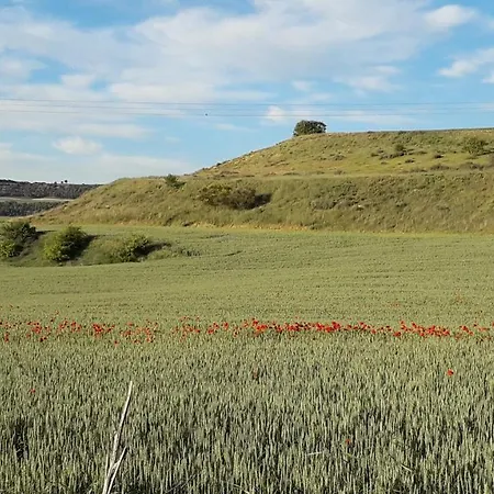 El Pajar De Cigunuela 別荘