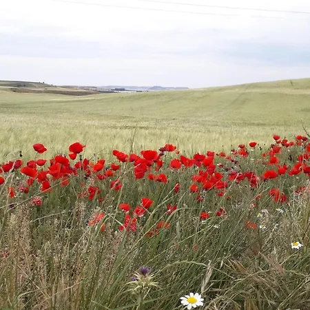 El Pajar De Cigunuela