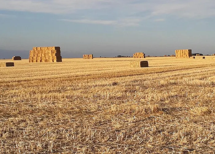 El Pajar De Cigunuela 펜션 *