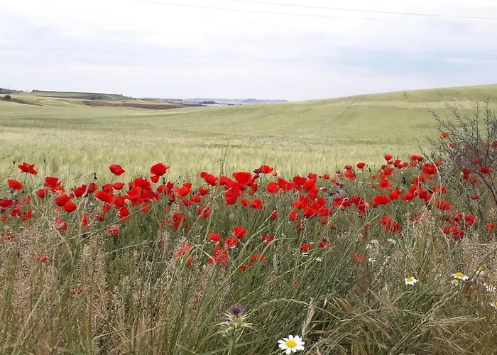 El Pajar De Cigunuela