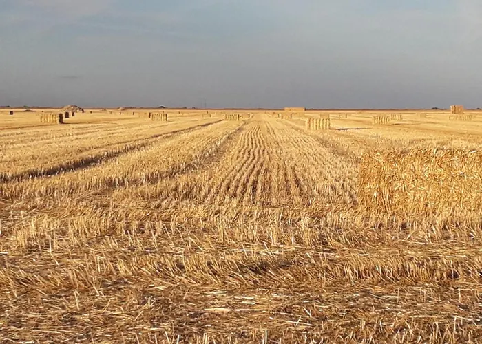 El Pajar De Cigunuela *